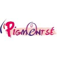 Pigmentsé logo - Similar company to Visio Pos