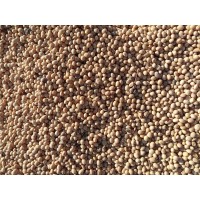 soybean seed price logo - Similar company to Matunda Hub