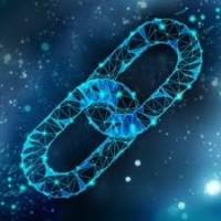 Escaped Gecko logo - Similar company to Cryptopia