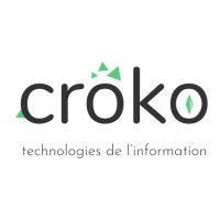 CROKO logo - Similar company to Fidel It Services Llp