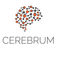 Cerebrum Digital logo - Similar company to Intelligent Travel Systems
