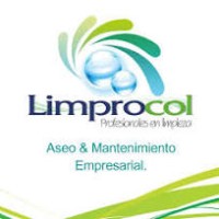 LIMPROCOL logo - Similar company to X