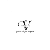 Vitanova Cosmetics logo - Similar company to Befa Cosmetics