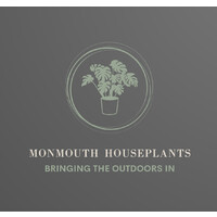 Monmouth Houseplants logo - Similar company to Root