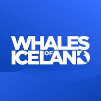 Whales of Iceland logo - Similar company to Perlan