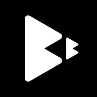 Brusse Beeldpartners logo - Similar company to Millennium Groep