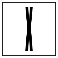 X Print Studio logo - Similar company to Fws