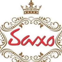 Saxo India logo - Similar company to Ismart Solutions India