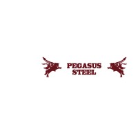 Pegasus Steel South Africa logo - Similar company to Tw Profile Services
