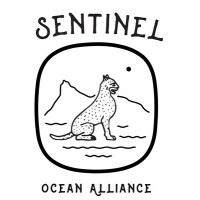 Sentinel Ocean Alliance (SOA) logo - Similar company to Stegtech