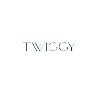 Twiggy logo - Similar company to Twiggy
