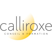 CALLIROXE logo - Similar company to Au2Mator Gmbh