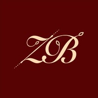 Heaven Lights by ZB logo - Similar company to Monvise