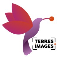 Terres & Images logo - Similar company to Docndoc