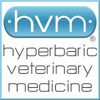 Hyperbaric Veterinary Medicine (hvm) logo - Similar company to Life Support Technologies Group