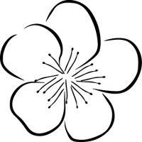 Studio Sakura logo - Similar company to Opalia