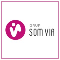 Grup SOM VIA logo - Similar company to Bayraktar Grup