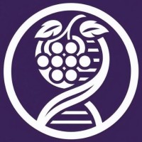 iGEM Pisa IT logo - Similar company to Handlet