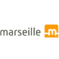 Marseille Networks Inc logo - Similar company to Ttl Electronics