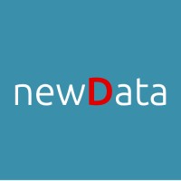 newData logo - Similar company to Newdata.Tech