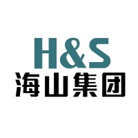 China Huashi Group (H&S) logo - Similar company to Infraavest Limited