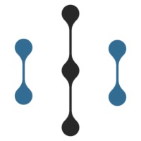 Insymetri logo - Similar company to Eyeiz