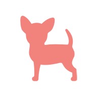 Pink Puppy Pet School