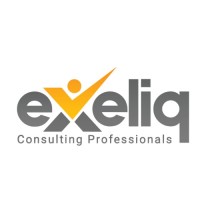 Exeliq Consulting Professionals LLP logo - Similar company to Exeliq Cabs