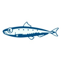 Blue Sardine