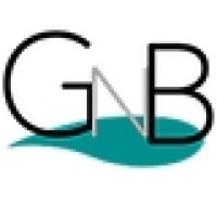 GNB Ventures logo - Similar company to Nillio