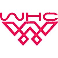 Wisdom Consultancy HR Company Ltd logo - Similar company to Work Within Wisdom