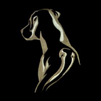 Ridgeback Mechanical logo - Similar company to Ridgeback