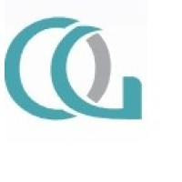 ODIANOSE GLOBALINK LIMITED logo - Similar company to Emel Project Solutions