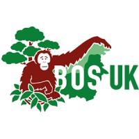 Borneo Orangutan Survival Uk