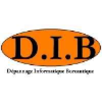 D.I.B Dépannage Informatique Bureautique