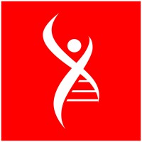 ENKI International logo - Similar company to Pluscontract