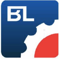 Borba&Lewis Consulting logo - Similar company to Disenvi