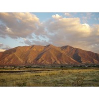 Maple Mountain Marketing