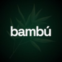 Bambú Solutions | Link Building & SEO logo - Similar company to Seocamp
