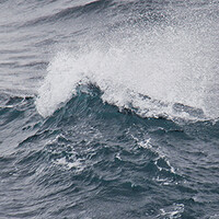 Oceandecade.dk logo - Similar company to Den Dyriske Time