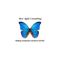 Best Agile Consulting, LLC logo - Similar company to Agility Insight
