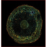 Nano Clinical, LTD logo - Similar company to Fragment Bahrain