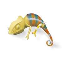 Caméléon Communication logo - Similar company to Menulis, Artiste Peintre Muraliste Marsas En Haute Gironde - St André De Cubzac