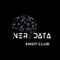 Nerdata ENSIT Club logo - Similar company to Ensit Microsoft Club