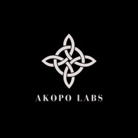 Akopo Labs logo - Similar company to Cut To Code