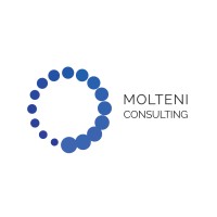 Molteni Consulting logo - Similar company to Blecx