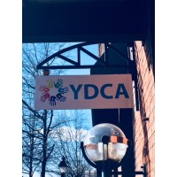 Youth Development Counseling Agency, Llc.