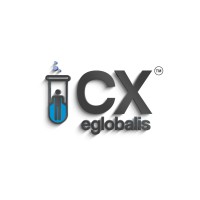 Eglobalis  - CX - EX - DX -Professional Services - Design -Information - Insight - Innovation logo - Similar company to Valinke.Com