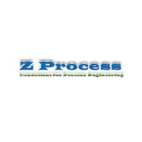 Z Process LTD logo - Similar company to Counter Intelligence Services