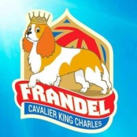 CANIL FRANDEL logo - Similar company to Canil Lanches